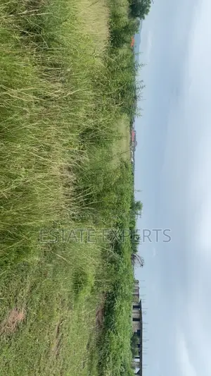 A Registered Land With Land Title Certificate Located in Ayikuma.