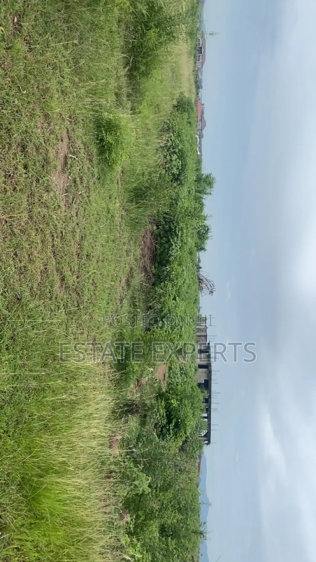 A Registered Land With Land Title Certificate Located in Ayikuma.