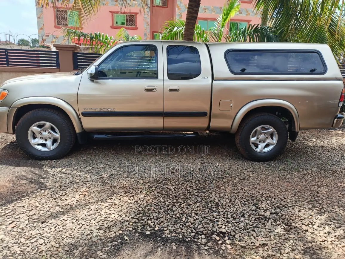 Toyota Tundra Double Cab 2008 Beige