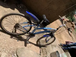 Qquality Home Use Bicycle
