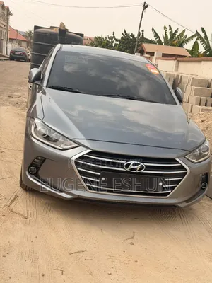 Hyundai Elantra 2017 Gray