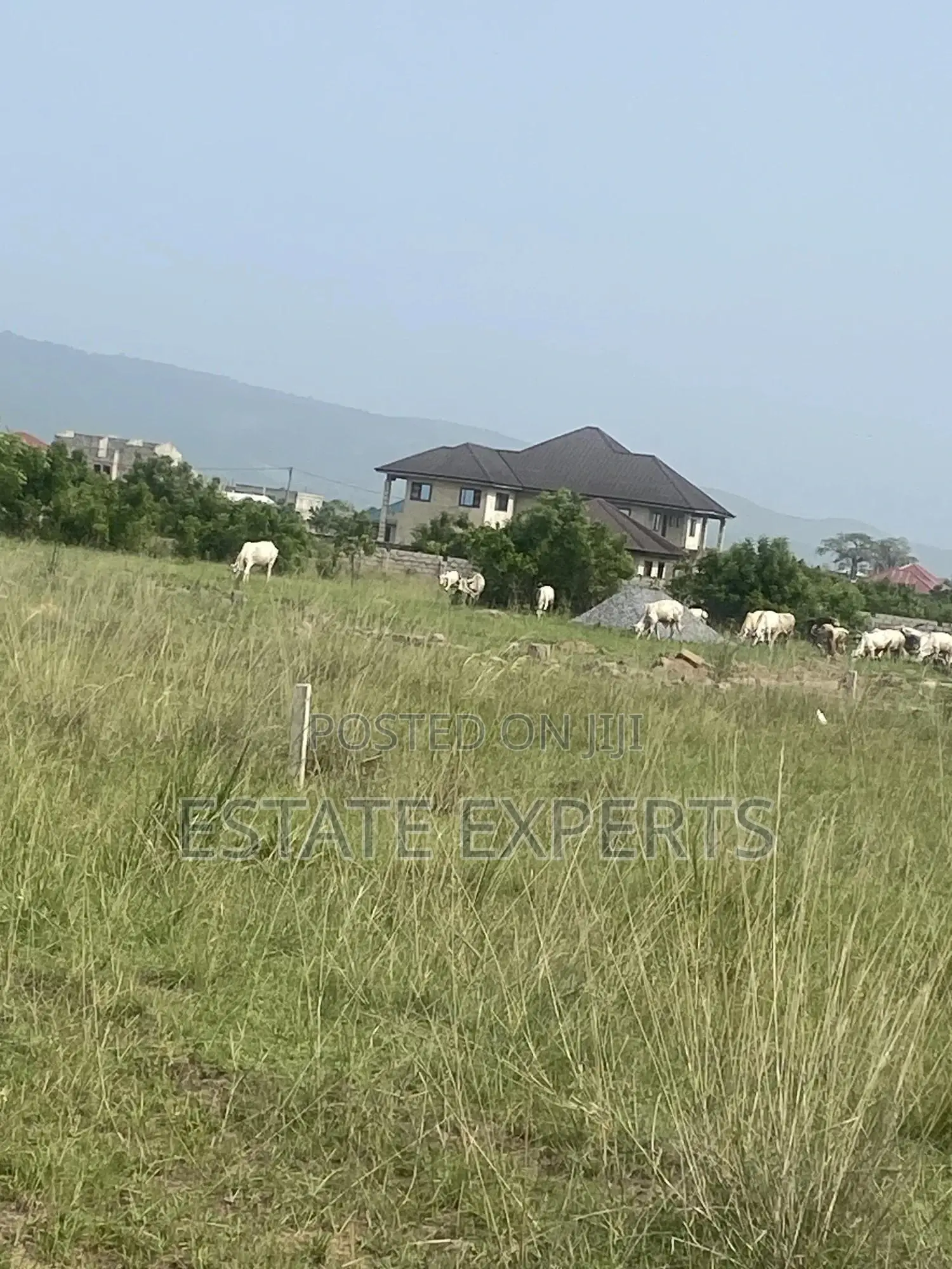 Titled Land Located at Ayikuma