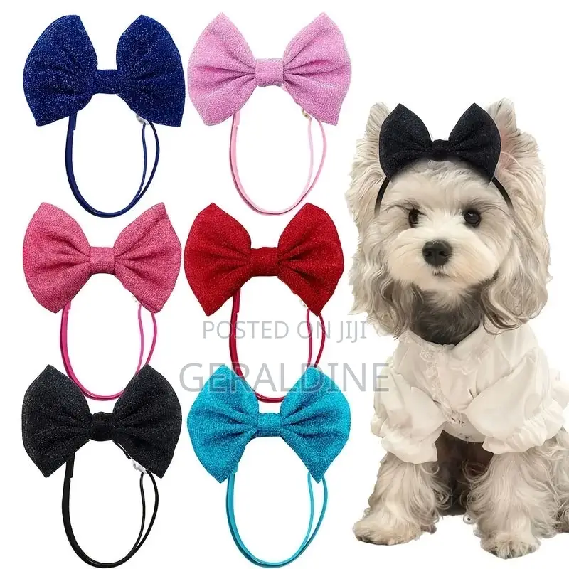 1-3 months Female Purebred Maltipoo