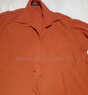 Orange Blouse