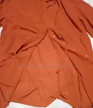 Orange Blouse