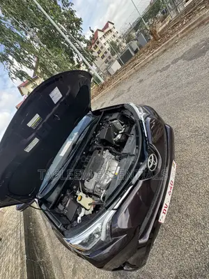 Toyota RAV4 XLE 4dr SUV (2.5L 4cyl 6A) 2018 Burgundy