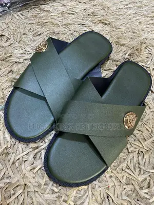 Nice Ahenema and Slides Available