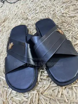 Nice Ahenema and Slides Available