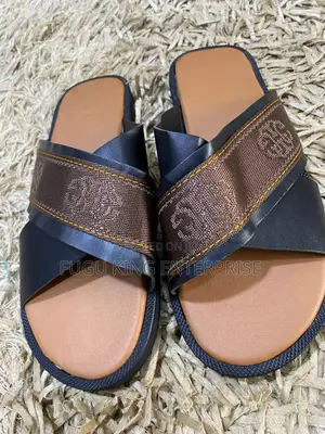 Nice Ahenema and Slides Available