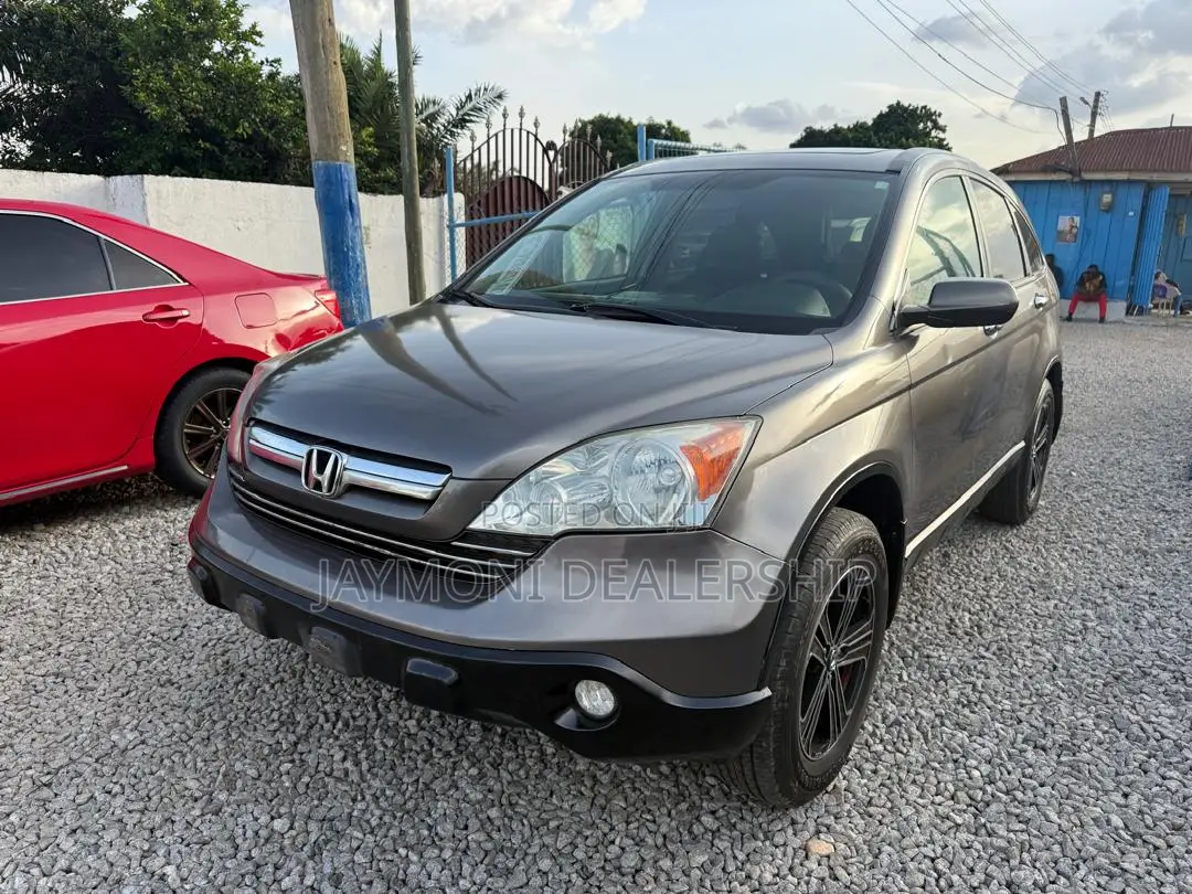 Honda CR-V 2010 Gray