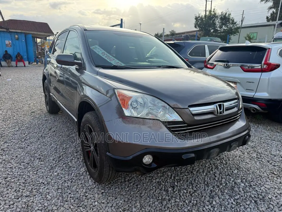 Honda CR-V 2010 Gray