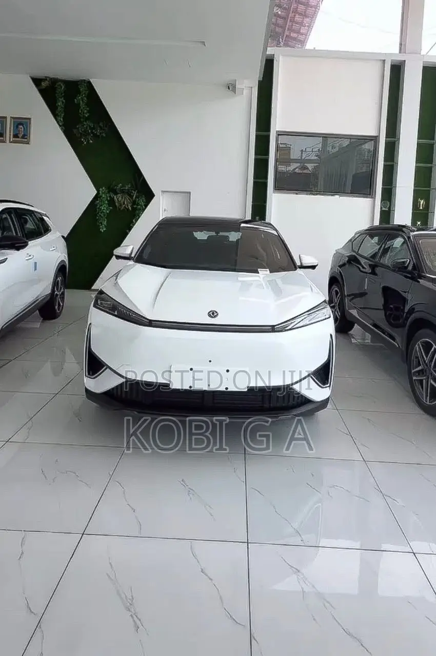 New Dongfeng Z9 2026 White