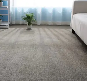 Durable Woolen Carpet for Domestic Use