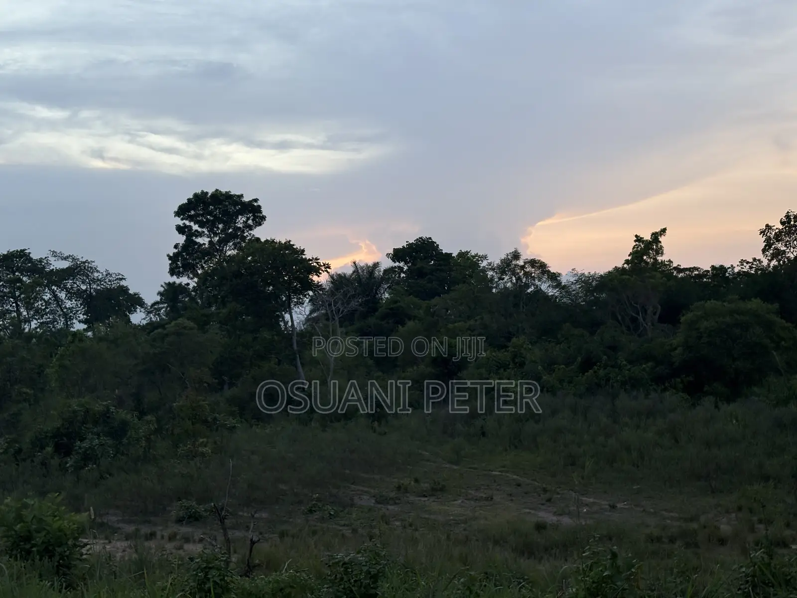 640 Arches of Farmland Available for Sale
