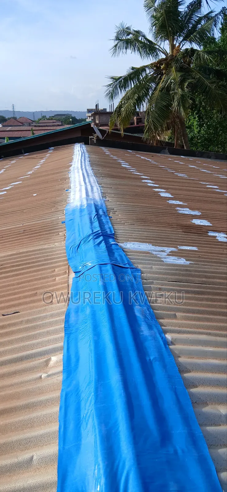Roof Leakage Treatment