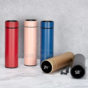 Temperature Display Water Bottle (Hot and Cold)