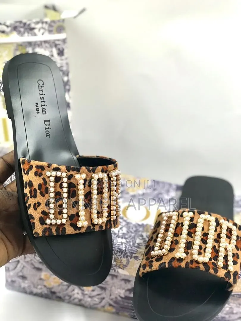 Christian Dior Slippers for Ladies Packaged in Boxes