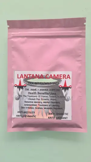 Lantana Camera (Tick Berry / Wild Sage) — Ananse Dorkono