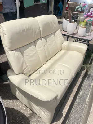2 in One Home Used High Quality Leather Sofa