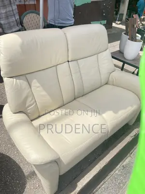 2 in One Home Used High Quality Leather Sofa