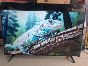 55"Lg Nanocell Smart Satellite Television