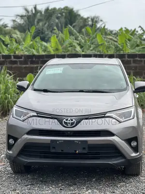 Toyota RAV4 2017 Gray