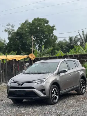 Toyota RAV4 2017 Gray