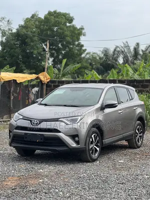 Toyota RAV4 2017 Gray