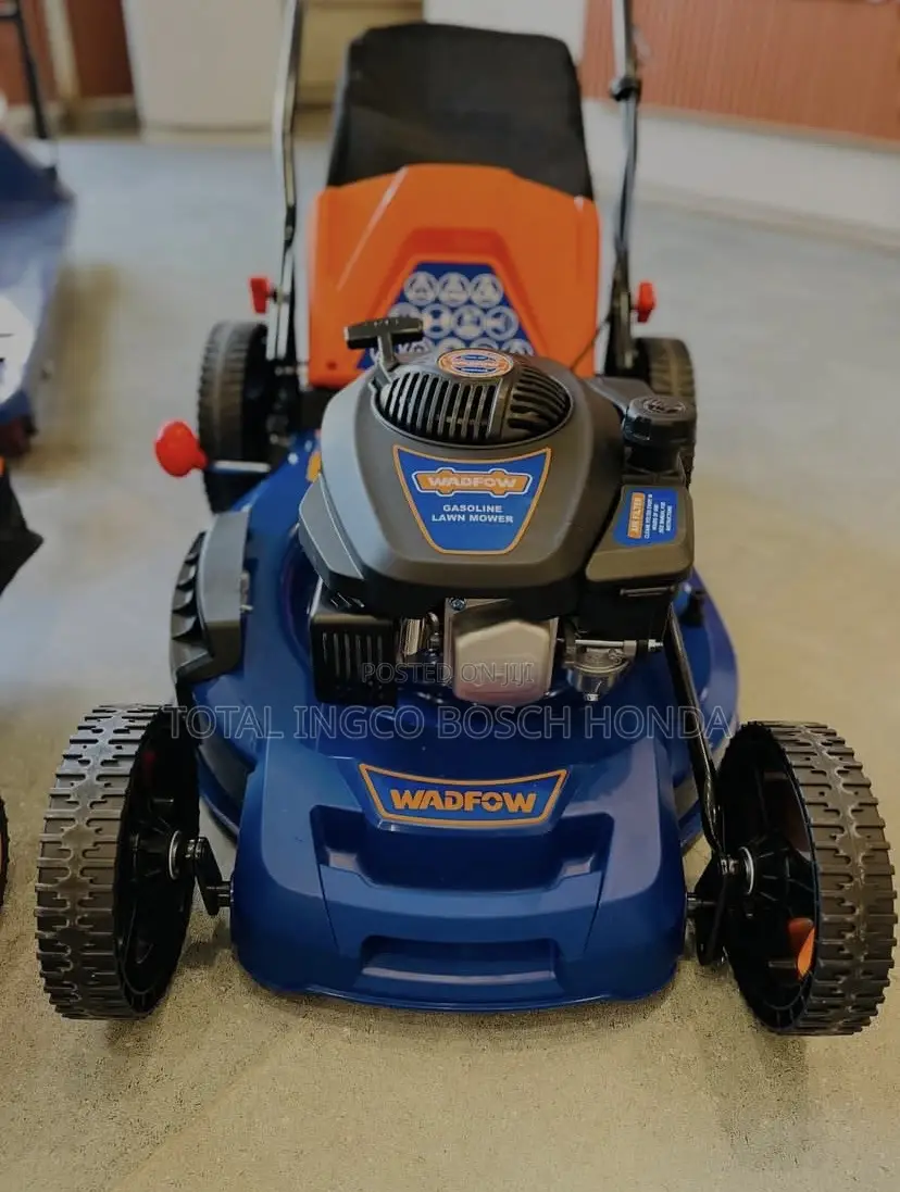 Mower 5.5hp Lawn Petrol Lawn Mower( Zongshen Brand Engine)