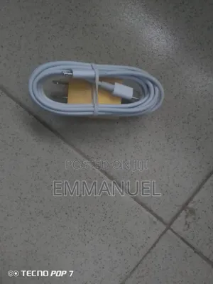 iPhone Charger