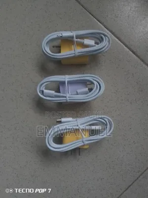 iPhone Charger