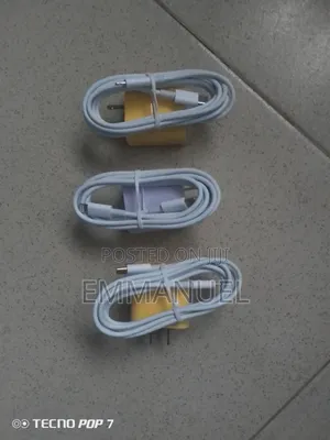 iPhone Charger