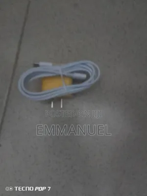 iPhone Charger