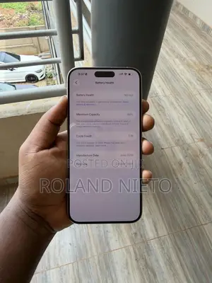 Apple iPhone 15 Pro Max 256 GB Silver