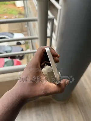 Apple iPhone 15 Pro Max 256 GB Silver