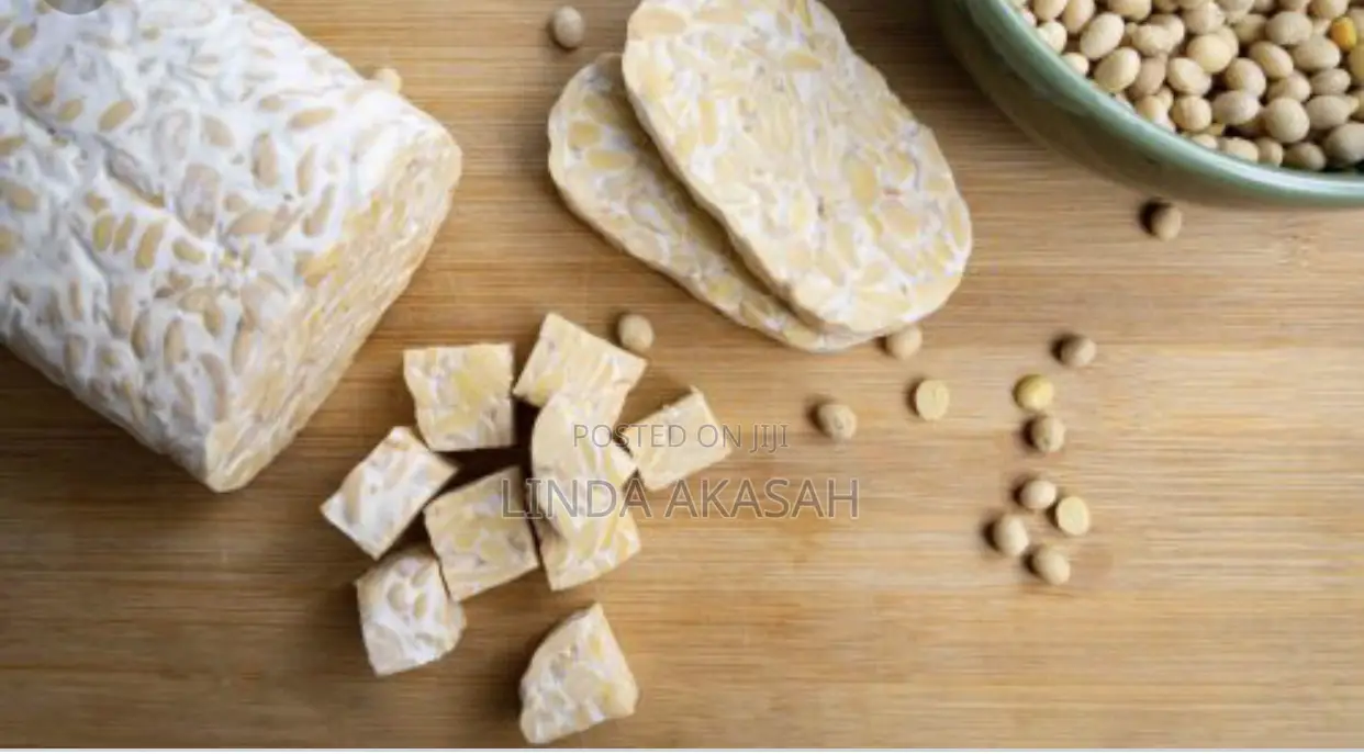 Soyabeans Tempeh
