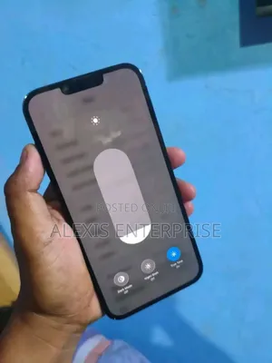 Apple iPhone 13 Pro Max 1 TB Gray