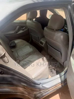 Toyota Camry 2010 Gray