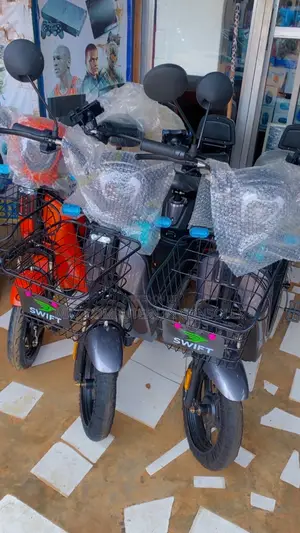 Electronic Bike