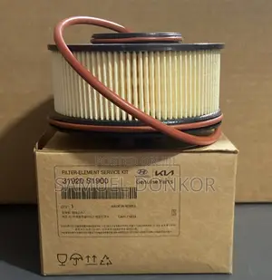 Genuine Hyundai/Kia 31920-S1900 Fuel Filter Element Service Kit