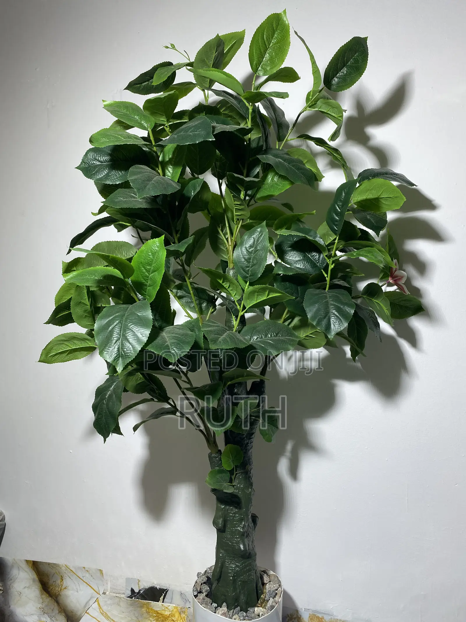Fake Plant