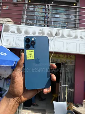 Apple iPhone 12 Pro Max 256 GB Blue