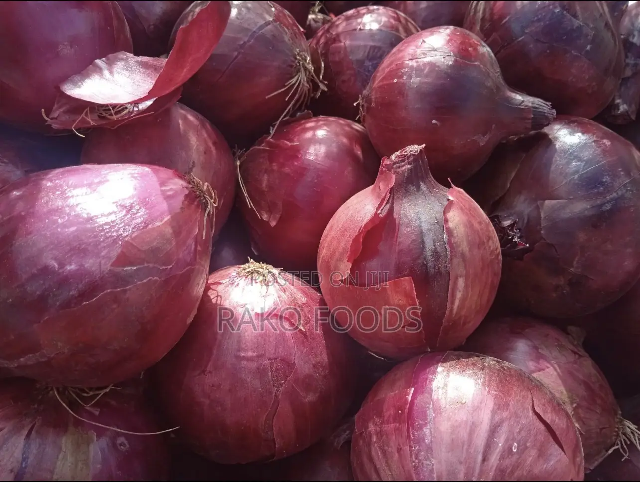 Freshly Harvested Onions