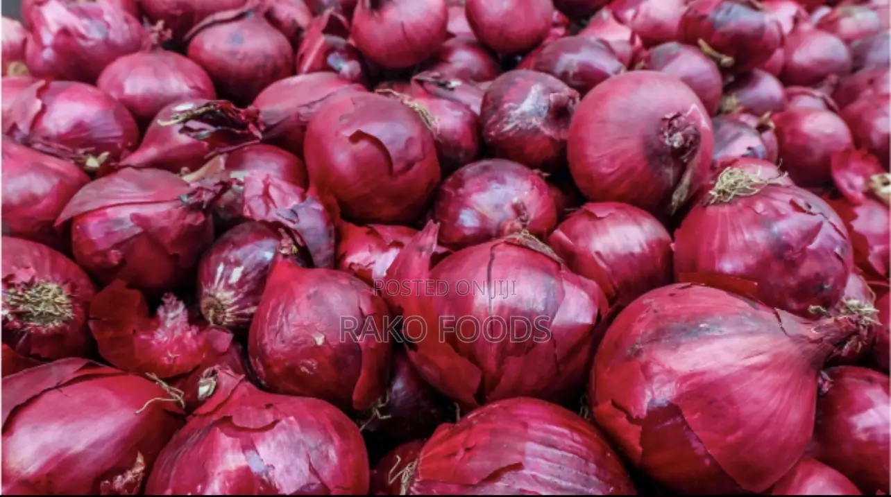 Freshly Harvested Onions