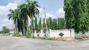 2 Half Plots of Land for Sale.