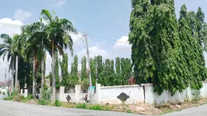 2 Half Plots of Land for Sale.
