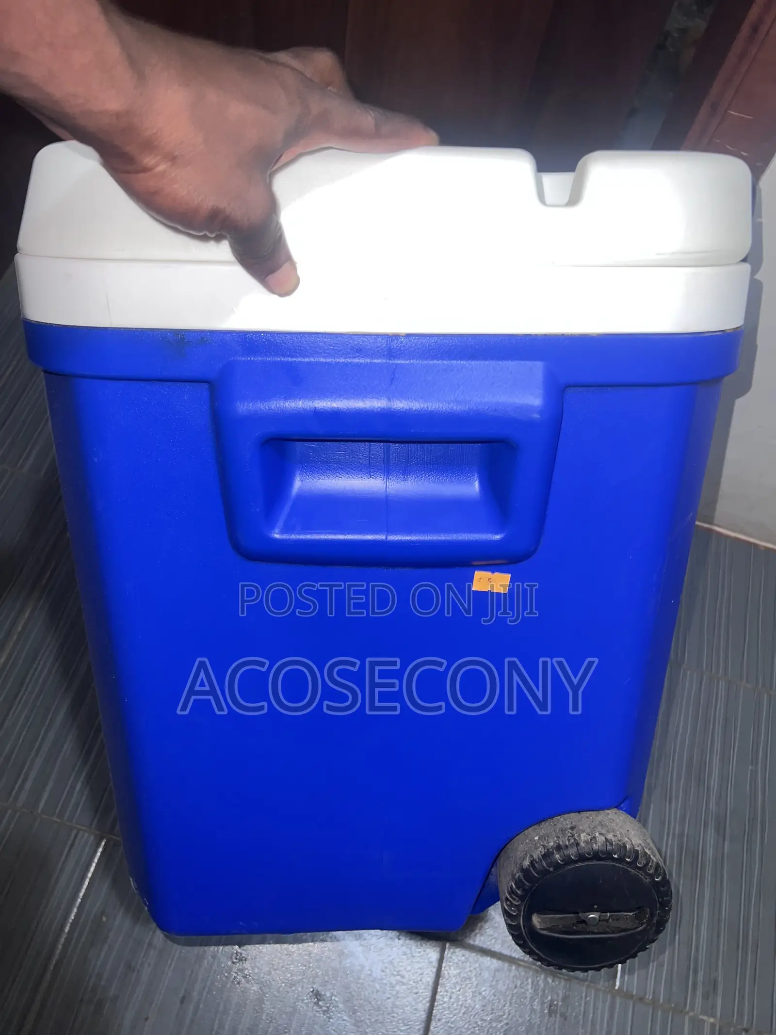 Ice Chest / Food Warmer