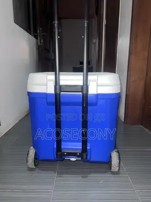 Ice Chest / Food Warmer