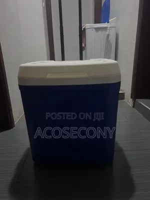 Ice Chest / Food Warmer