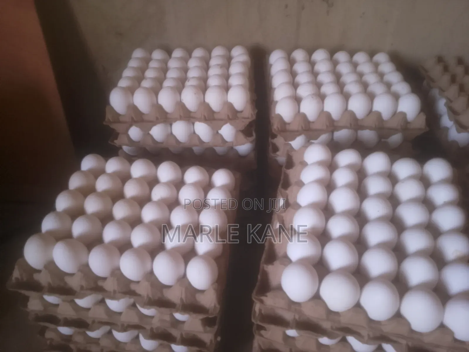 Fresh Egg With High Protein